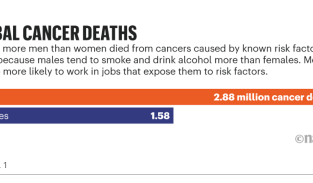 La mitad de las muertes por cáncer: Evitables