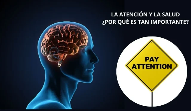 La atención masculina: el pilar olvidado de la salud y la longevidad