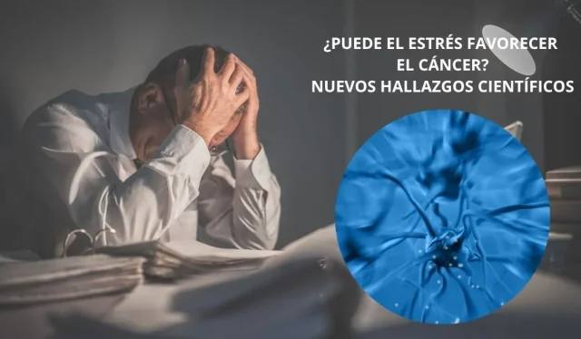 Estrés y cáncer: ¿puede la presión emocional afectar al sistema inmunitario y favorecer los tumores?