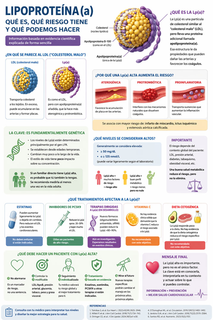 infografía sobre lipoproteína(a)