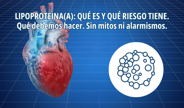 Lipoproteína(a): qué es, qué riesgo tiene realmente y qué hacer si está elevada.