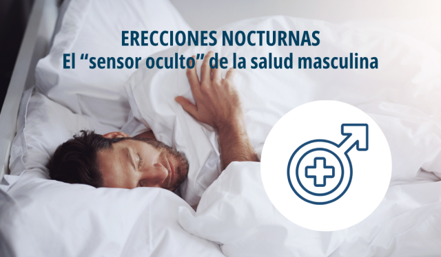 Erecciones nocturnas y matutinas: qué pueden revelar sobre tu salud