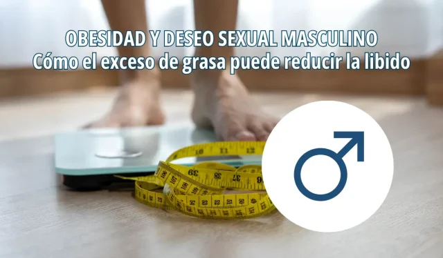 Relación de la obesidad y la libido