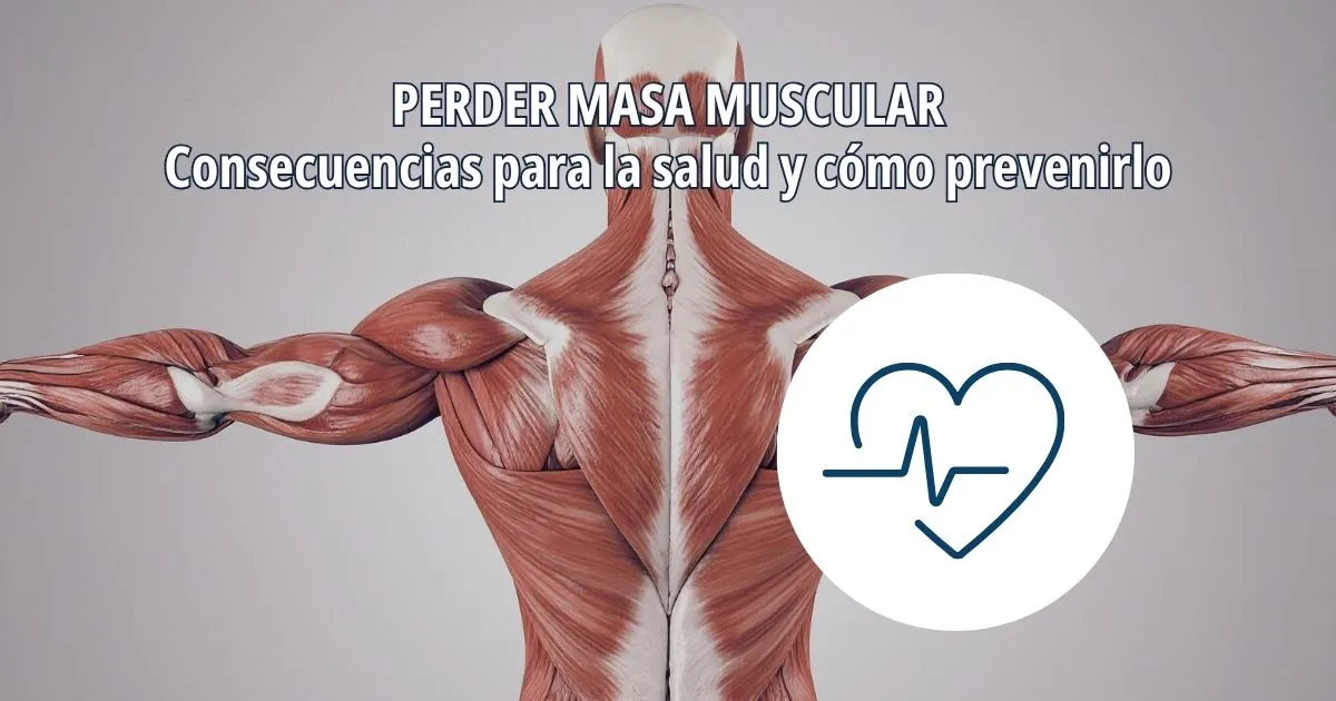 lustración anatómica de la musculatura humana con el título "Perder masa muscular: consecuencias para la salud y cómo prevenirlo", utilizada para explicar el impacto de la pérdida de masa muscular en la salud.